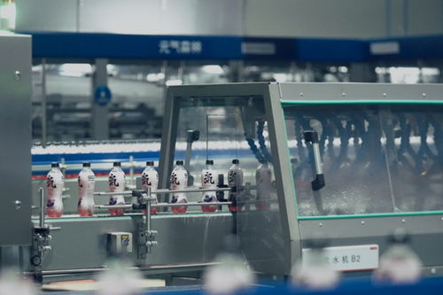 元?dú)馍值谖寮易越üS投產(chǎn)，年產(chǎn)能突破12億瓶，加速數(shù)字化轉(zhuǎn)型